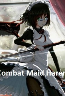 Combat Maid Harem