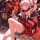 Cultivating in Honkai!