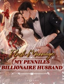 Read Flash Marriage: My Penniless Billionaire Husband Online