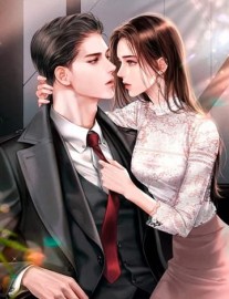 Read Hidden Wife : Best Husband Online