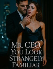 Read Mr. CEO, You Look Strangely Familiar Online