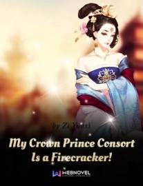 Read My Crown Prince Consort Is a Firecracker! Online