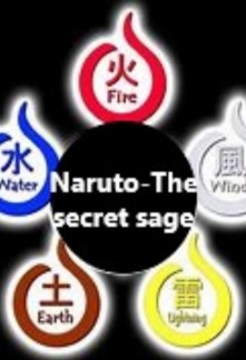 Naruto-The secret sage