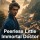 Peerless Little Immortal Doctor