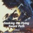 Seeking the Flying Sword Path