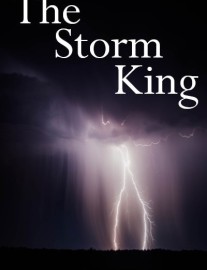 Read The Storm King Online