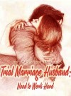 Trial Marriage Husband: Need to Work Hard